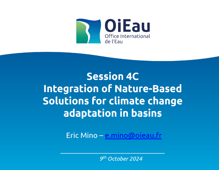 Integration of Nature-Based Solutions for climate change adaptation in ...